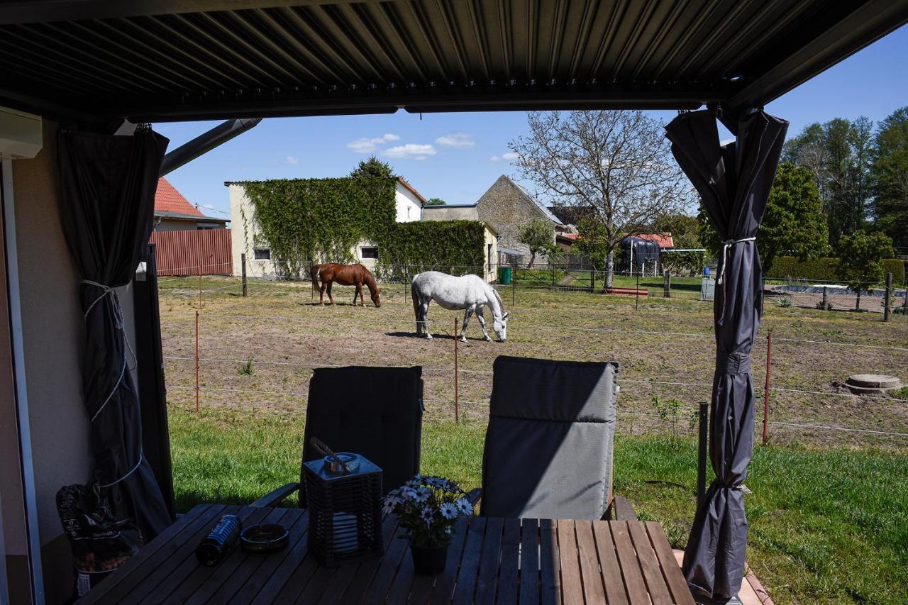Barrierefreie Ferienwohnung Trueben Bornum Екстер'єр фото
